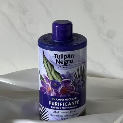 Shampooing purifiant 1