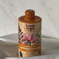 Shampooing restructurant 1
